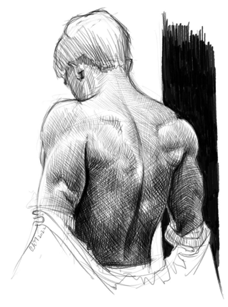 Anatomy study